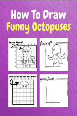How To Draw Funny Octopuses(English, Paperback, Sor Miller)