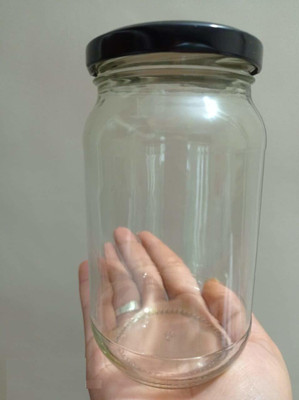 Somil Glass Utility Container  - 500 ml(Clear)