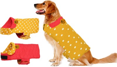 Sage Square Coat for Dog(Polka Yellow)