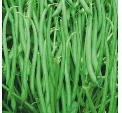 SM Exports Malgudi beans vegetable seeds with branded packing truthful label pack of 1kg seeds. Seed(1 kg)