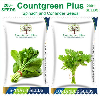 Countgreen Plus Spinach and Coriander Vegetable Seed(100 per packet)