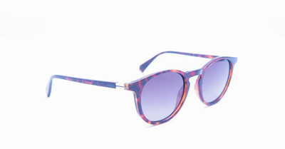 POLAROID Round Sunglasses(For Men & Women, Brown)