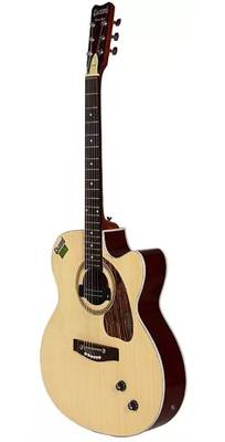 Givson VENUS ROSE Semi acoustic Guitar Rosewood Rosewood Right
