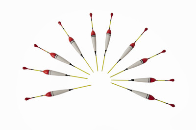 fisheryhouse Soft Bait Plastic Fishing Lure(Pack of 10)