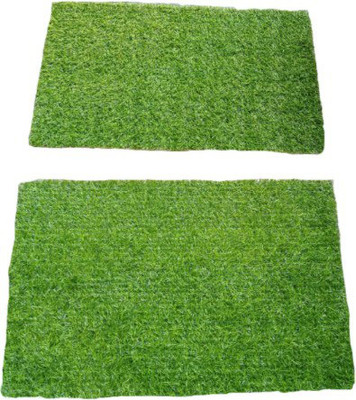 Tyagistore Artificial Grass Door Mat(Green, Medium, Pack of 2)