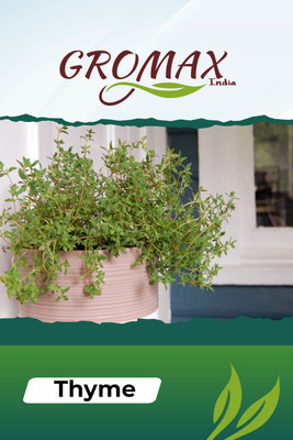 Gromax India THYME Seed(40 per packet)