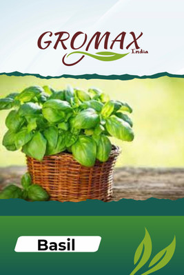 Gromax India BASIL Seed(40 per packet)