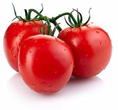 Aywal Hybrid Pusa Ruby High Yield Tomato Seed(750 per packet)