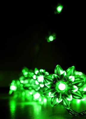 NISCO 16 LEDs 3 m Green Steady String Rice Lights(Pack of 1)