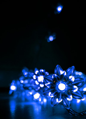 NISCO 16 LEDs 3 m Blue Steady String Rice Lights(Pack of 1)