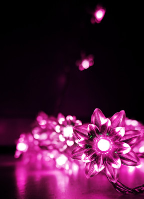 NISCO 16 LEDs 3 m Pink Steady String Rice Lights(Pack of 1)