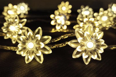 Infiprises 20 LEDs 4.99 m Gold Steady String Rice Lights(Pack of 1)