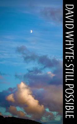 Still Possible(English, Paperback, Whyte David)