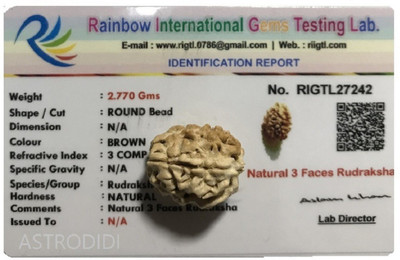 Astrodidi 3 Mukhi Rudraksha Three Face Rudraksha Lab Certified Wood Pendant