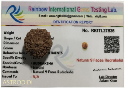 Astrodidi 9 Mukhi Java Rudraksha Nine Face Rudraksha Java Small Size Lab Certified Wood Pendant