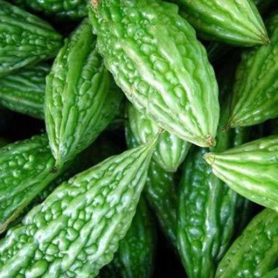 CYBEXIS VVI-38 - Karela - Bitter Gourd - (300 Seeds) Seed(300 per packet)