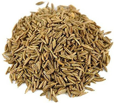 EVY CARROT Seed Seed(100 per packet)