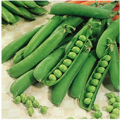 EVY Peas Seeds Seed(100 per packet)
