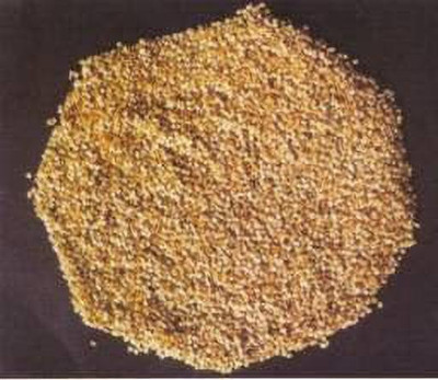 EVY Brinjal seed Seed(1 per packet)