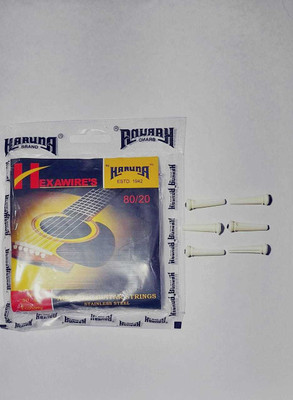 KARUNA Acoustic BRIDGE PIN 6 KAARUNA SPANISH GUITAR Guitar String(6 Strings)