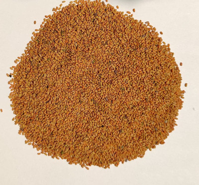 EVY methi Seed(100 per packet)