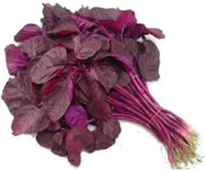 EVY LAAL SAAG Seed(100 per packet)