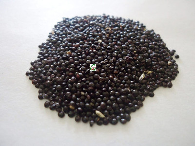 EVY LAAL SAAG Seed(100 per packet)