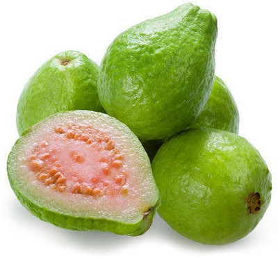 XOLDA Guava Amrood Seed(37 per packet)