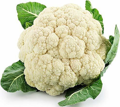 CYBEXIS LX-30 - Desi Cauliflower Super Snowball - (1350 Seeds) Seed(1350 per packet)