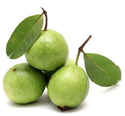 XOLDA Guava Amrood Seed(20 per packet)