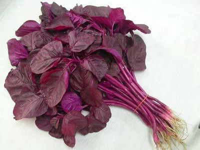 VibeX ® VMR-572 Red Spinach High Yield Amaranthus Seed(500 per packet)