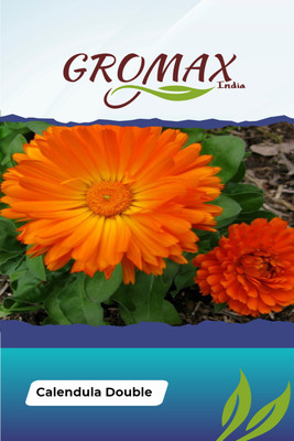 Gromax India Calendula Double Seed(40 per packet)