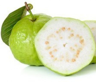 XOLDA Guava Amrood Seed(20 per packet)