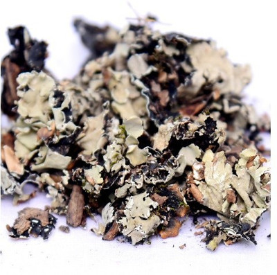 HM Herbals Stone FlowerV Seed(100 g)