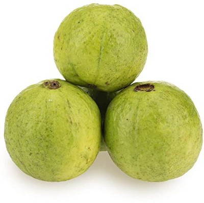 XOLDA Guava Amrood Seed(30 per packet)