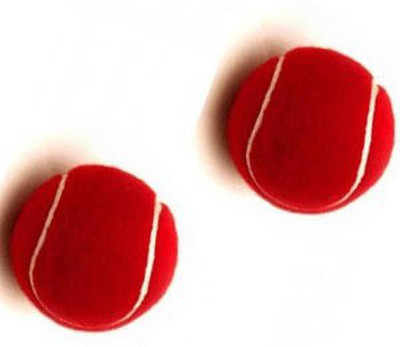 DAYAL ENTERPRISES red cricket tennis ball-2 pieces Cricket Leather Ball(Standard, Pack of 2)