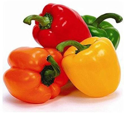 Aywal Capsicum- Shimla Mirch Seed(460 per packet)