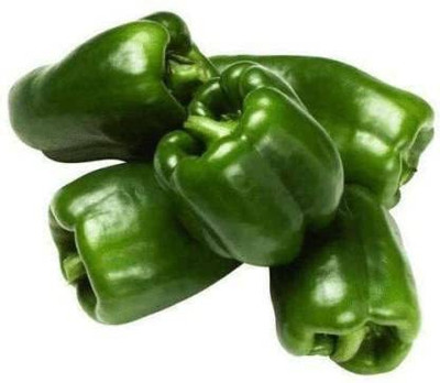 VibeX XLR-57 - Capsicum | Shimla Mirch Green - (1350 Seeds) Seed(1350 per packet)