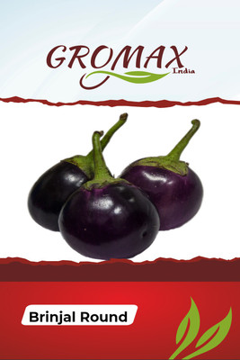 Gromax India Brinjal Round Seed(40 per packet)