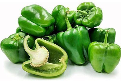 EVY CAPSICUM Seed Seed(100 per packet)