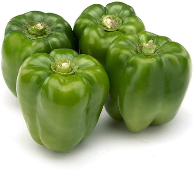 EVY CAPSICUM Seed Seed(100 per packet)