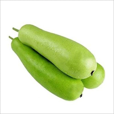 VibeX Organic Bottle Gourd Seeds-(50 Gms, 250 Seeds) Seed(250 per packet)