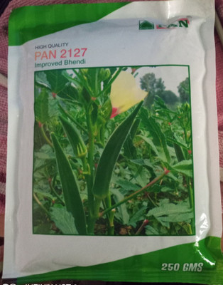 SM Exports High quality Bhendi seeds, lady finger vegetable seeds - 250g per pack. Seed(250 g)