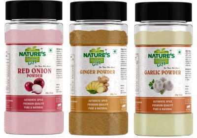 Nature's Precious Gift Garlic Powder 250 gm, Red Onion Powder 250 gm & Ginger Powder (Adrak/Sunth) 200 gm - for Cooking & Seasoning | Pure & Natural Powder - [Combo Pack](3 x 233.33 g)