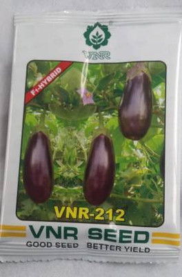 THAMMAR VNR BRINJAL Seed (2000 per packet) Seed(1 per packet)