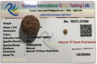 Astrodidi 10 Mukhi Java Rudraksha Ten Face Rudraksha Java Small Size Lab Certified Wood Pendant