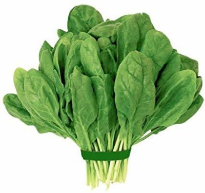 Oliver palak,spinach Seed(97 per packet)