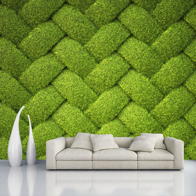 COLOR SOLUTION Vinyl Decorative Green Wallpaper(L x W: 228 cm x 40 cm, Pack of 2)