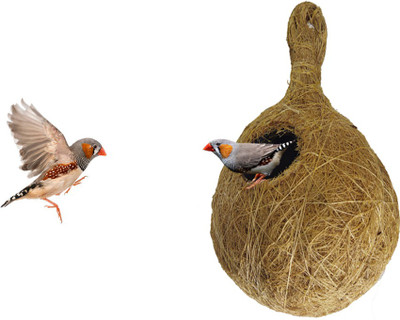 Mats Avenue ® Bird Nest Made of Natural Coir Fiber and Coconut Shell Brown Color with Hanging Apparatus and Coir Yarn for Hanging 15X22 cm Big Set of 1 Bird House(Hanging)