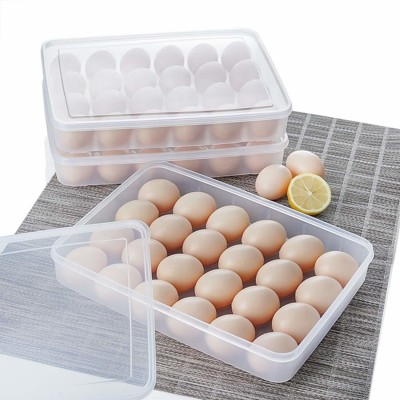 RAIYARAJ Plastic Egg Container  - 2 dozen(Pack of 2, White)